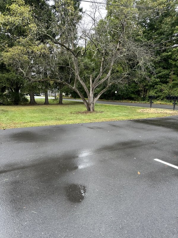 779 Neighborhood Road - 5 property image